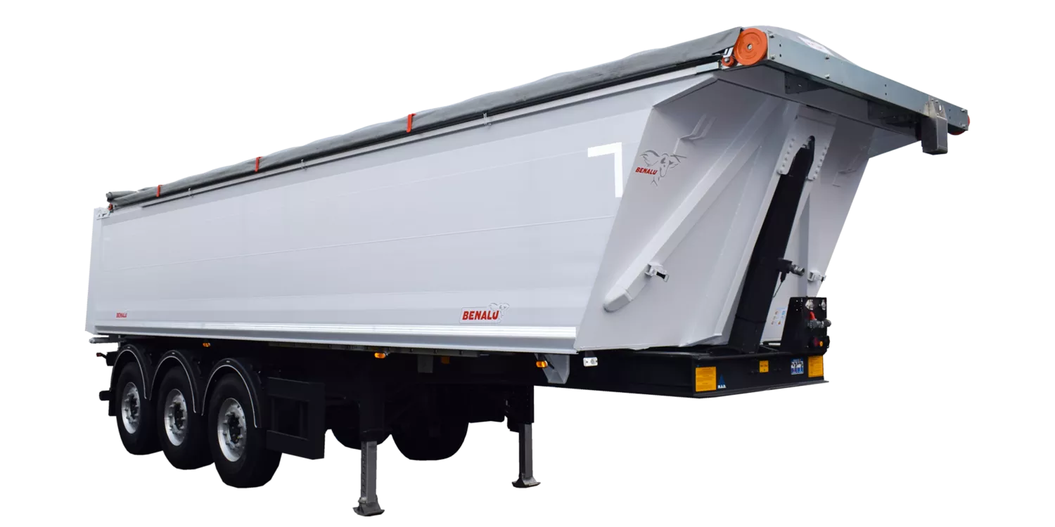 Benalu Siderale - картинка